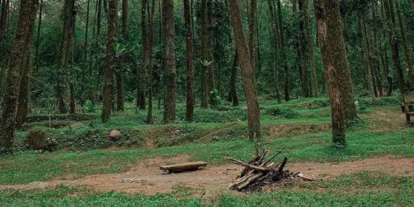 7 Destinasi Hutan Pinus di Yogyakarta, Back to Nature