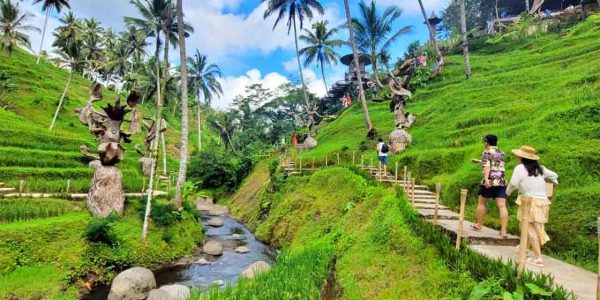 Tempat Wisata Bali Alas Harum Pemandangan Asri Adem