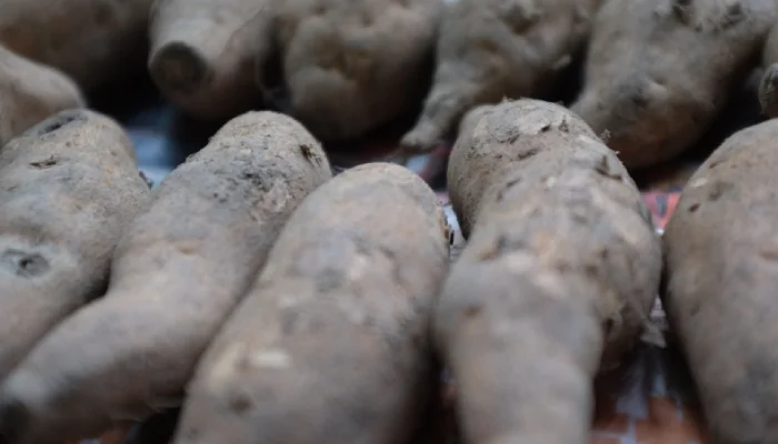Jadde Utti makanan khas makassar