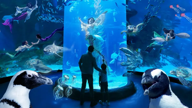 tempat wisata jakarta Jakarta Aquarium