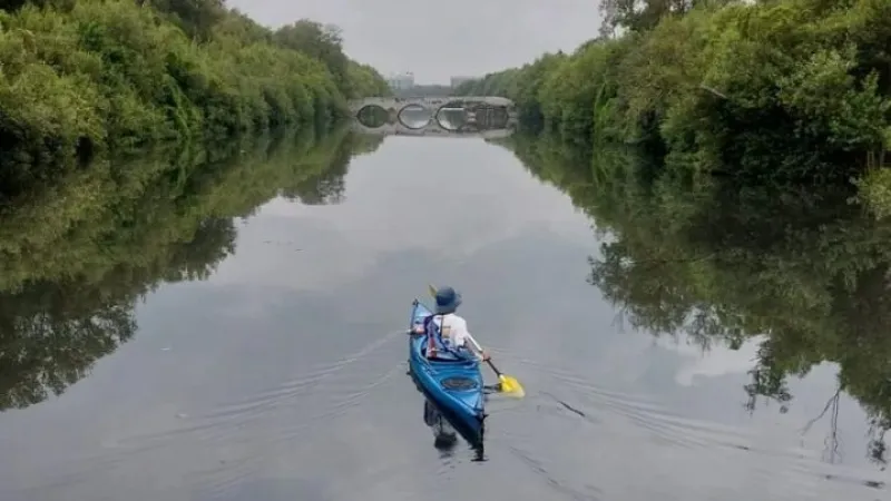 tempat wisata jakarta Taman Wisata Alam Mangrove