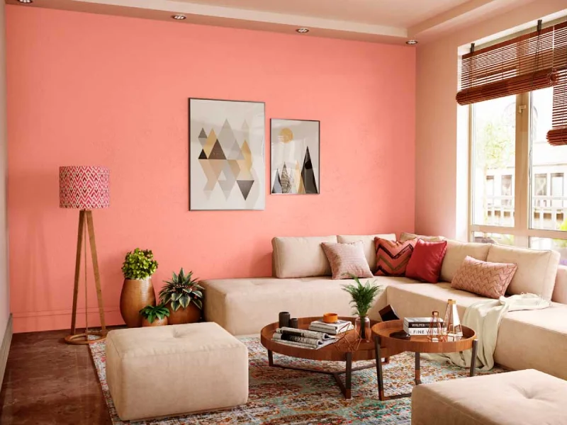 Rumah warna cat adem minimalist Salmond