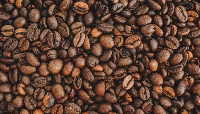 oleh-oleh khas lombok Kopi Lombok