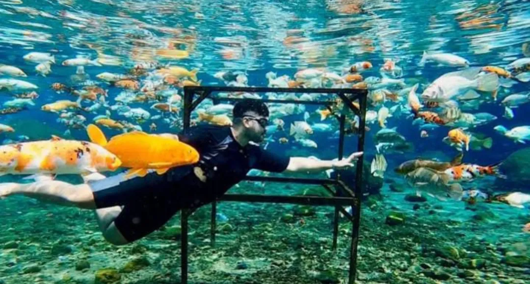 Keindahan Bawah Air di Umbul Ponggok; 'Bunaken Van Klaten'