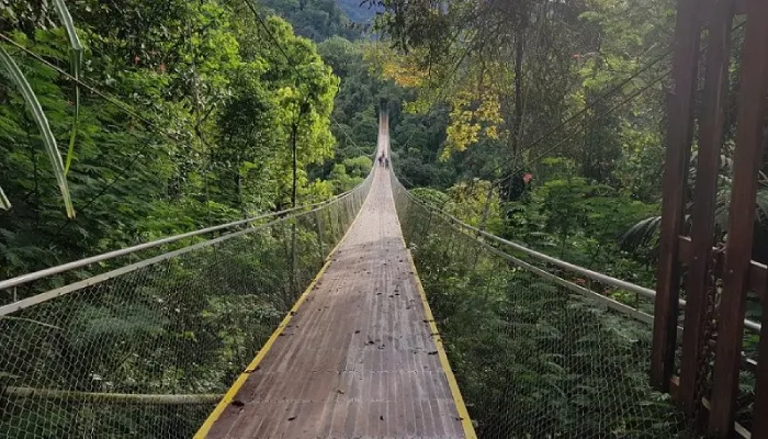 Jembatan Ikonik di Jawa Barat Gantung Situ Gunung (1)