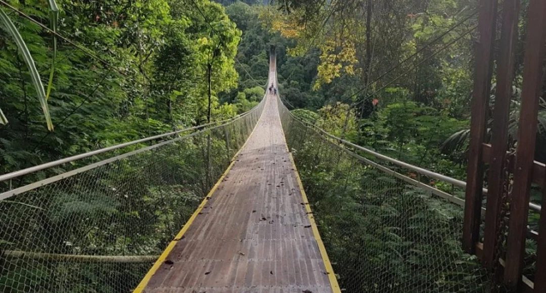 7 Jembatan Ikonik di Jawa Barat buat Spot Foto Instagenic