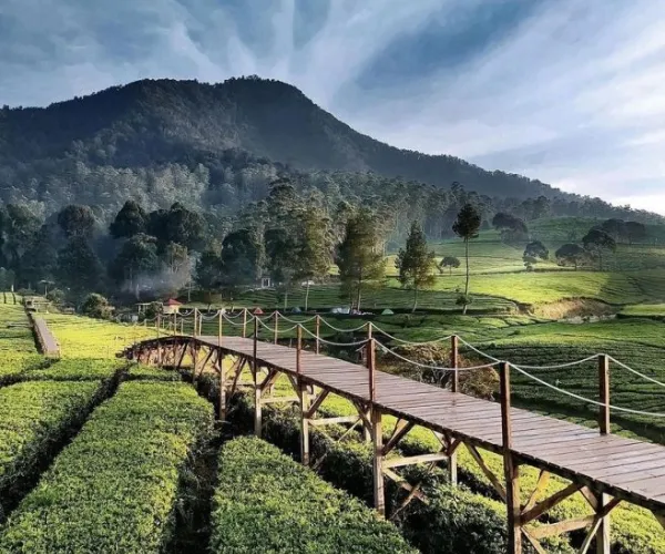 Jembatan Ikonik di Jawa Barat Kayu Panjang