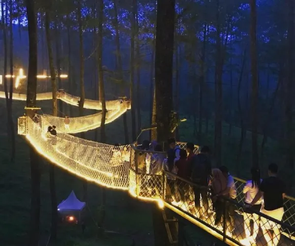Jembatan Ikonik di Jawa Barat Orchid Forest Bandung