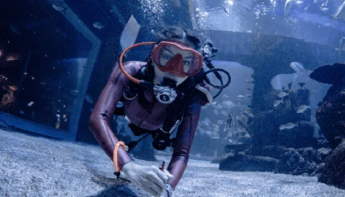 Destinasi wisata indoor jabodetabek Jakarta Aquarium