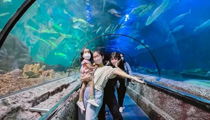 Destinasi wisata indoor jabodetabek Sea World Ancol